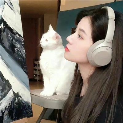 明月守护者